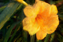paintedyellowflower