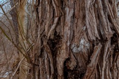 DSC0829-HDR