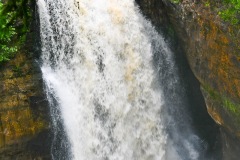 DSC_1818