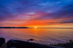 IMG_3180