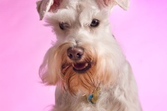 charlie_2